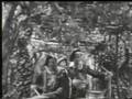 TORTA DEI FIESCHI - AMARCORD