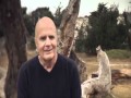 Dr Wayne Dyer ~ The Shift ( From Ambition to Meaning )