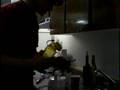 Living With The Perals (Part 04 of 04)