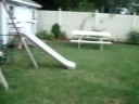 At Ahsley's August 2