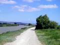 Canal de la Roubine au milieu des étangs