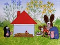 the mole & the house
