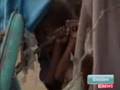 KENYA, BRUCIATE VIVE 15 DONNE ACCUSATE DI ESSERE STREGHE