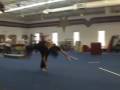 Tricking Mini Sampler- jan. 17
