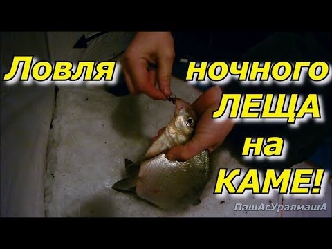 YouTube Трейлер