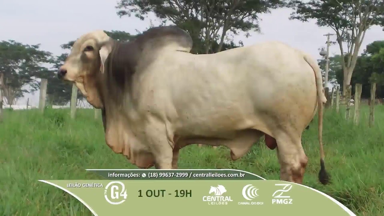 Agricultura BR 3ª Edição | 1º/10/2024