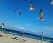 beach day