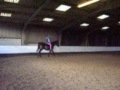 Ebby Bareback