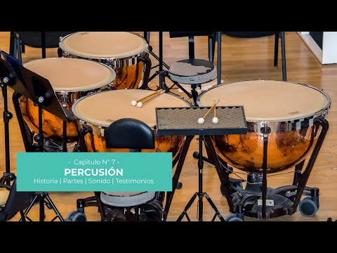 Iniciación Musical | Capítulo 7: Percusión
