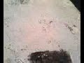 homade firecracker Part 1/2 homade firecracker Part 1/2