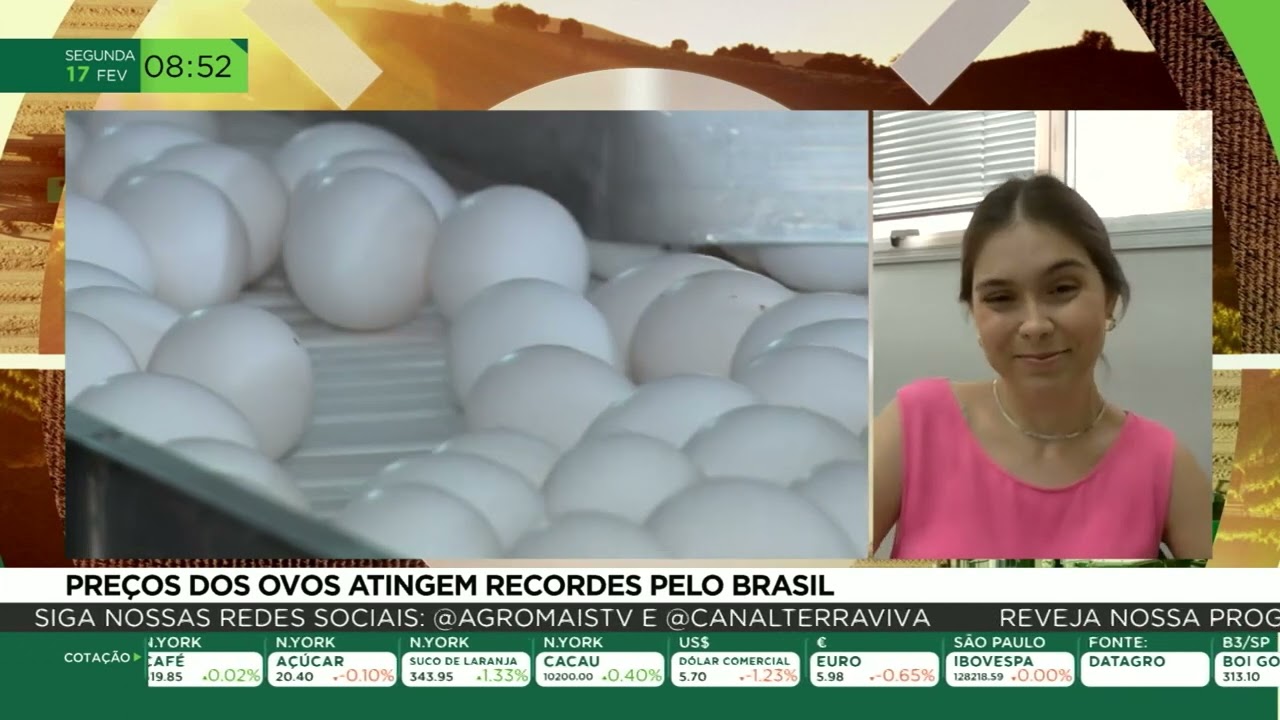Preços dos ovos atingem recordes pelo Brasil