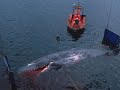 NEW DATA-Why the Hawaii Supeferry Will Kill Humpback Whales
