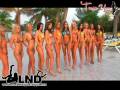 TeaseUm Bikini Models- Jamaica Pt2 Tease Um LateNightDigital