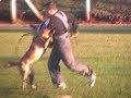 Arus van Joefarm - Training session