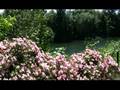 Corvallis riverfront restored