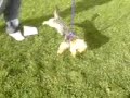 Alex der idiot teil 3