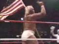 Hulk Hogan