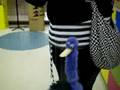 dancing llama bird