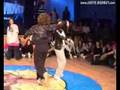 Juste Debout 2008 - Finlande