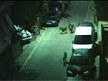 köpeklerin ezan vakti davranışları