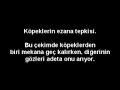 köpeklerin ezan vakti davranışları
