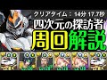 View 19 パズ ドラ デイトナ コットン