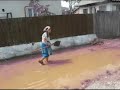inundatie Carlogani2
