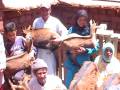 videos de Online animals for developing countries