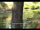 Keuring Doerak - Zwemmen