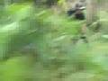 Atimonan AirSoft