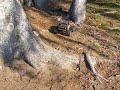 My Traxxas E-Maxx Legacy Model- 4 wheel drive truck, 20-30 miles per hour
