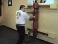 American Kenpo - Mohamad Tabatabai - 17 Parting Wings