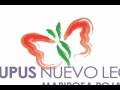 videos de Reportaje Lupus