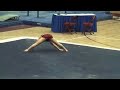 Steven Legendre GOLD Floor NCAA 2008