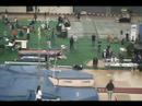 4.80 NAIA Clearance