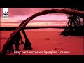 Rola lasów namorzynowych - Living Planet Report WWF 2010