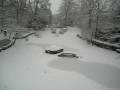 Snow first week 2009 Brabant Wallon