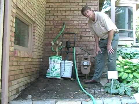 how to fertilize hostas