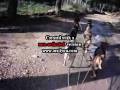 videos de entrainement dec08.wmv