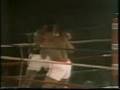 Mike Tyson Training and Knock Out Clips