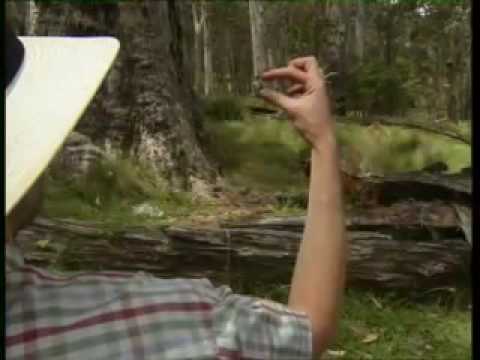 YouTube Preview Image