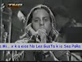 SalSeRin !!!