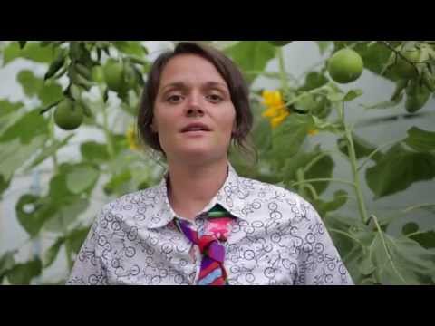 How is living at an NGO? Video testimony from Sustainable Bolivia