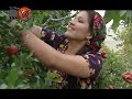 kerim-gurbanaliyew-sumbaryn-nary.html