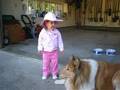 videos de How does a dog drink?