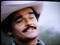 el alazan lucero