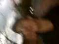 videos de Tentando Volta Pra Casa =)