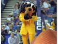 Tennessee Volunteer Allows a TAILSMACK