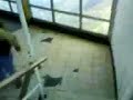 La poceta más alta de Caracas! - The highest w.c. in Caracas