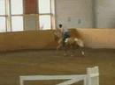 Win The Gold - Stallion Test Jumping Rider 2